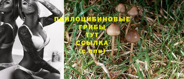 мяу мяу мука Белокуриха