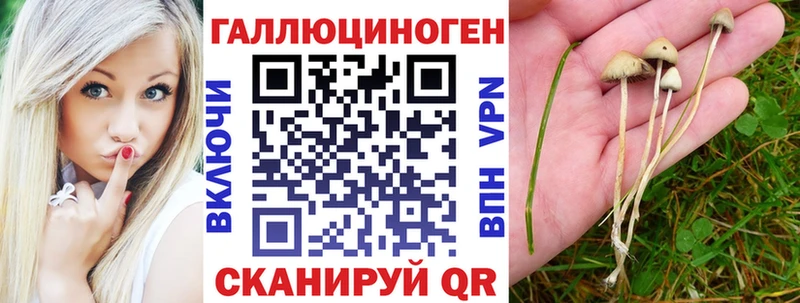 закладки  Афипский  Псилоцибиновые грибы мухоморы 