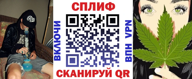 Канабис конопля  Афипский 